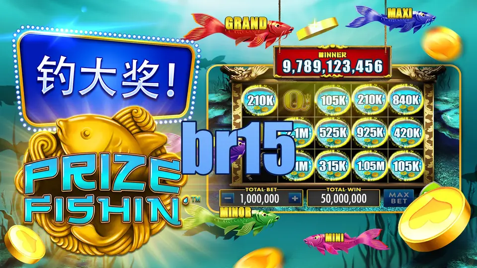 br15 Login